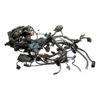 Wiring Harness BMW F650CS F650 CS 01 -04 61117658296