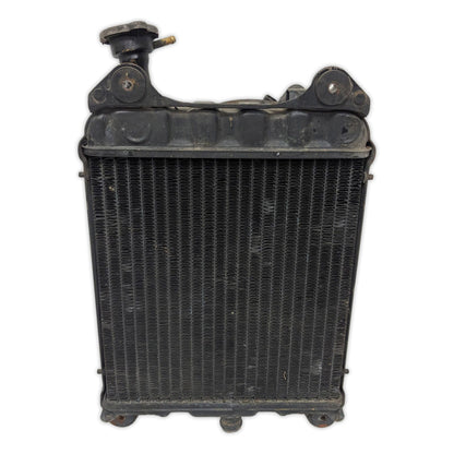 Radiator Cooler Fan Honda GL1100 GL 1100 Goldwing 80 - 83 19010-463-003