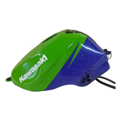 Fuel Tank Gas Tank Kawasaki Purple Green