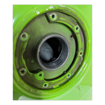 Fuel Tank Gas Tank Kawasaki Purple Green