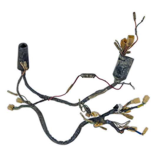 Wiring Harness Suzuki TC125 TC 125 1975 75