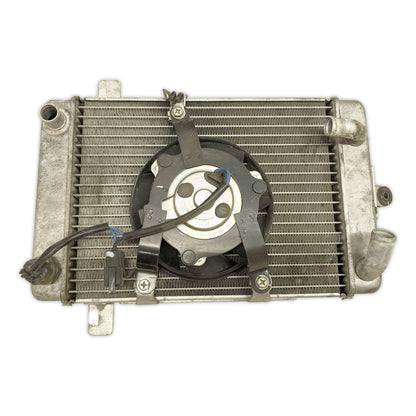 Radiator Cooler Fan Suzuki AN400 Burgman 400 04-06 17710-14G10