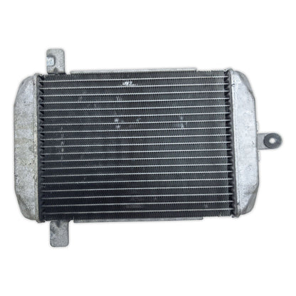 Radiator Cooler Fan Suzuki AN400 Burgman 400 04-06 17710-14G10