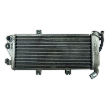 Radiator Cooler Kawasaki EX650 Ninja 650 ER-6n ER6n 09-11 39061-0138