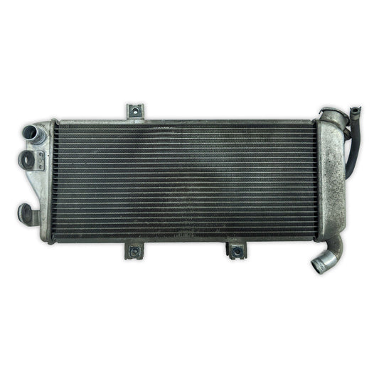 Radiator Cooler Kawasaki EX650 Ninja 650 ER-6n ER6n 09-11 39061-0138