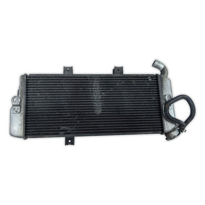 Radiator Cooler Kawasaki EX650 Ninja 650 ER-6n ER6n 09-11 39061-0138