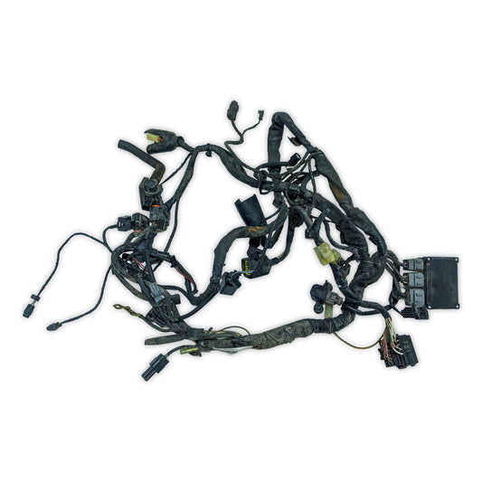 Wiring Harness Kawasaki EX650 Ninja 650 09-11 26031-0705