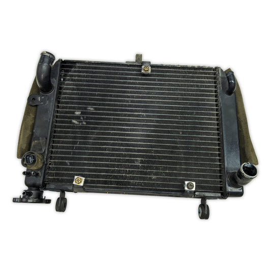 Radiator Cooler Yamaha YZF-R6 YZFR6 R6 R-6 99-02 5EB-12461-00