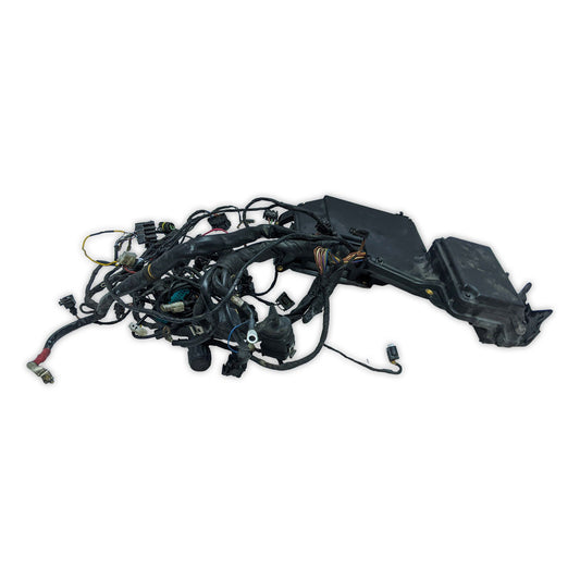 Wiring Harness BMW K1200 RS K1200RS 2001 01