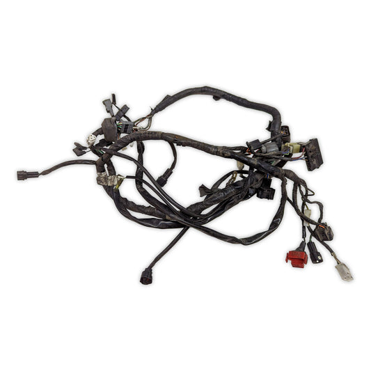Wiring Harness Kawasaki KLX250S KLX 250 S 09-14 26031-0721