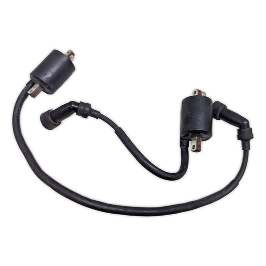 Ignition Coil Yamaha XVS1100 V-Star 1100 99-09 5EL-82310-00 5EL-82320-00
