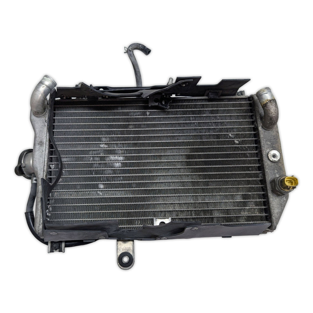 Radiator - 17710-10G00 - Suzuki AN650 Burgman 650 03-12