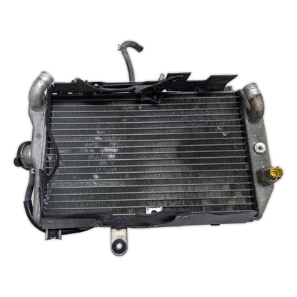 Radiator - 17710-10G00 - Suzuki AN650 Burgman 650 03-12