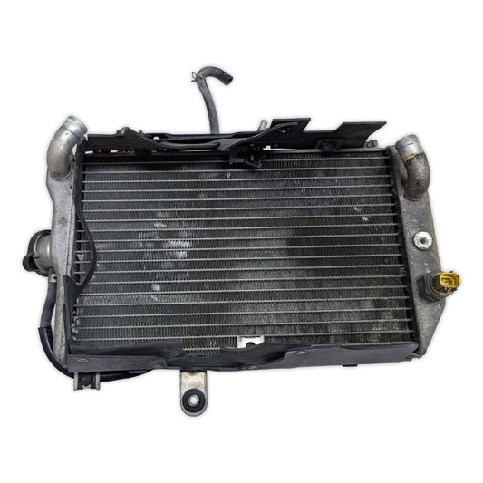Radiator - 17710-10G00 - Suzuki AN650 Burgman 650 03-12