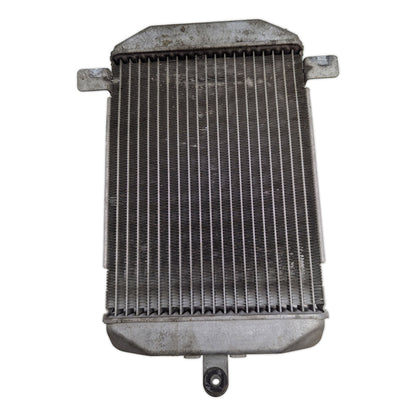 Radiator - 17710-14G00 - Suzuki AN400 Burgman 400 2003