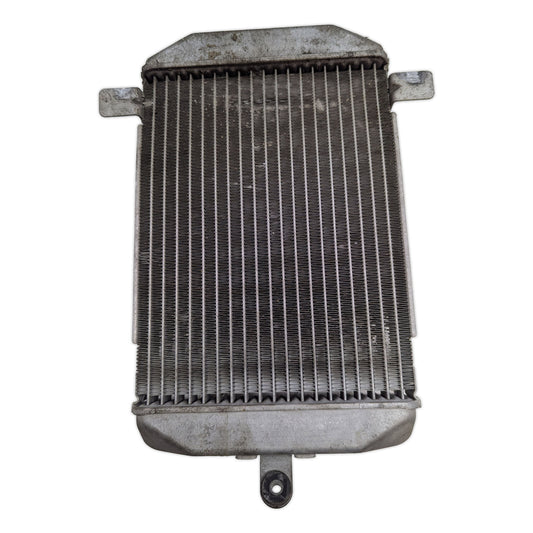 Radiator - 17710-14G00 - Suzuki AN400 Burgman 400 2003