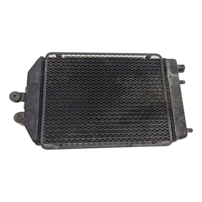 Radiator - 39060-0059 - Kawasaki VN1700 Vulcan 1700 Nomad Classic 09-14