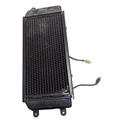 Radiator - 17710-48E00 - Suzuki VZ800 Marauder 97-04