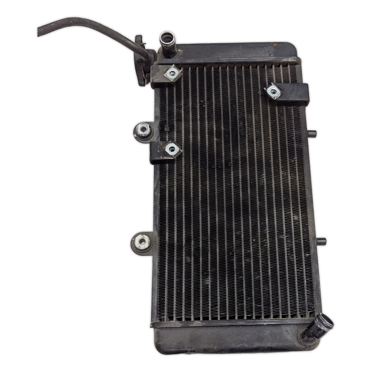 Radiator - 17112345046 - BMW F650ST F650 ST Strada 97-00
